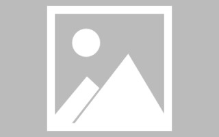 利津网页设计展示ppt下载（网页设计ppt汇报）